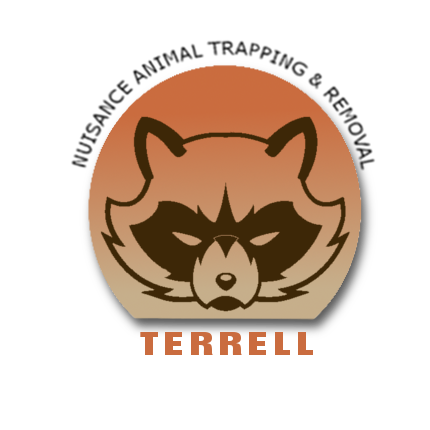 Avatar for Terrell Nuisance Animal Trapping & Removal